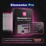 Elementor Pro Plugin Buy In BD – Update Version